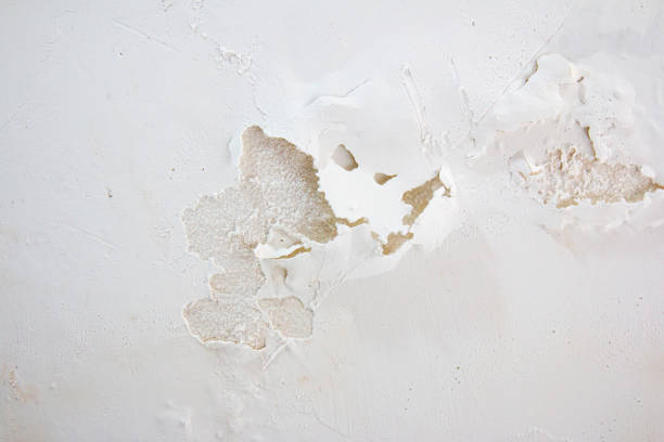 istock Painting blistering and peeling problems on the wall 1172933832