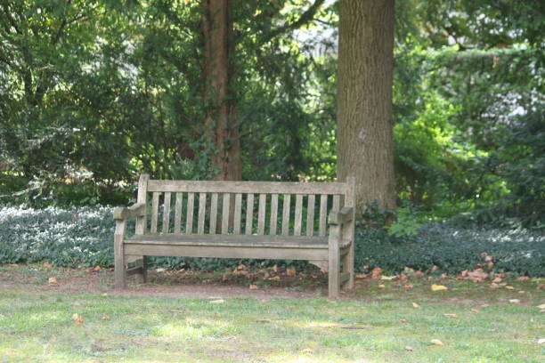 istock Wooden bench in a park 1172935034