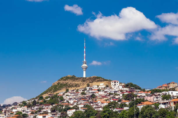 istock Old dense houses on the mountainside 1172936812