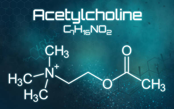 fórmula química de la acetilcolina sobre un fondo futurista - acetylcholine fotografías e imágenes de stock