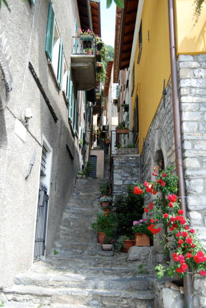 istock Narrow cobbled stoned stepped street 1172941192