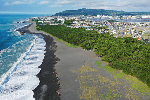 istock Aerial view of Miho's Matsubara 1172943057