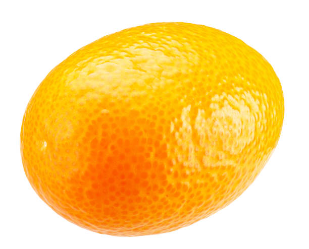 istock kumquats isolated on a white background 1172947754