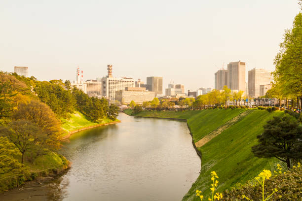 istock Tokyo Landscape View, Japan 1172949099