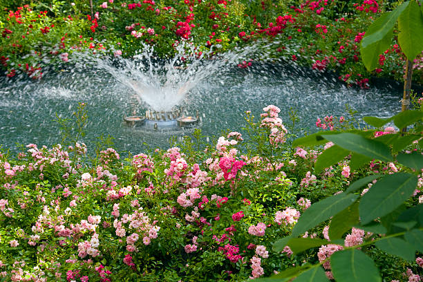 istock Pond with fountain and flowers 117294929