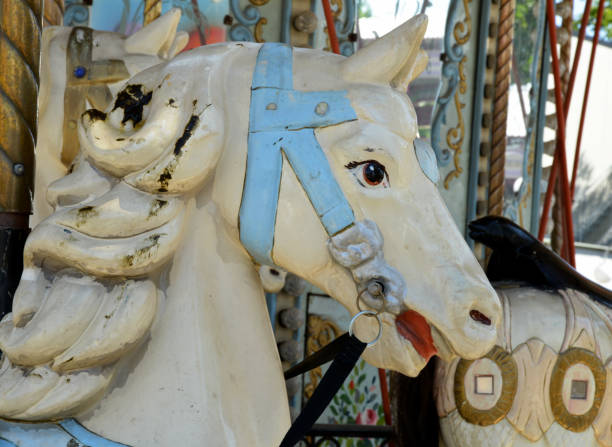 istock a horse portrait at amusement park 1172950452