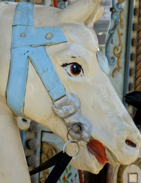 istock a horse portrait at amusement park 1172950453