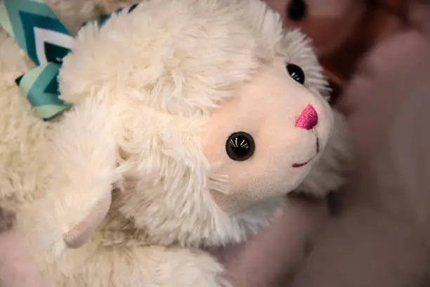 Close-up head of the cutest ever cuddly little soft focus toy lamb with bright pink nose and bright curious eyes