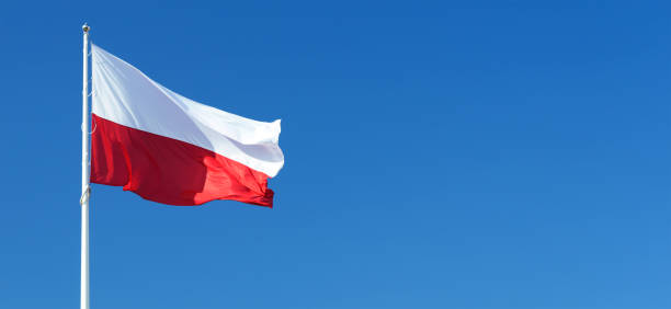 istock Waving flag of Poland 1172959087