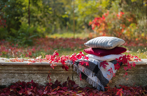 Autumn garden. On the stone bench there is a blanket, pillows, a basket of apples and a burgundy hat with rubber boots.