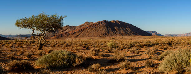 istock Desert pano on Namibian border 1172959726
