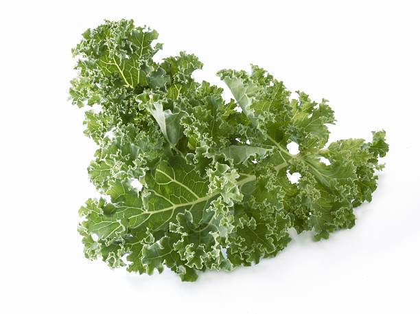 istock decorative green leaf of kale 117296022