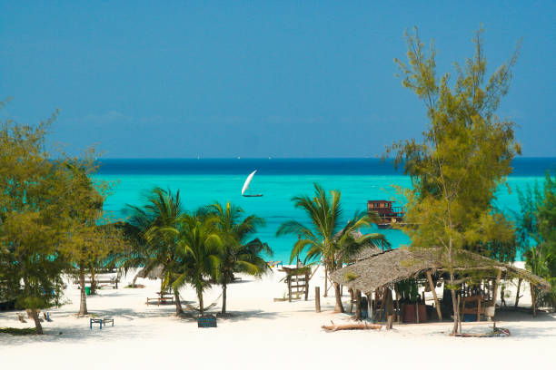 istock View on white sand tropical beach with palm trees and endless green ocean horizon background - Kendwa, Tanzania 1172962019