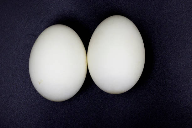 istock preserved duck eggs 