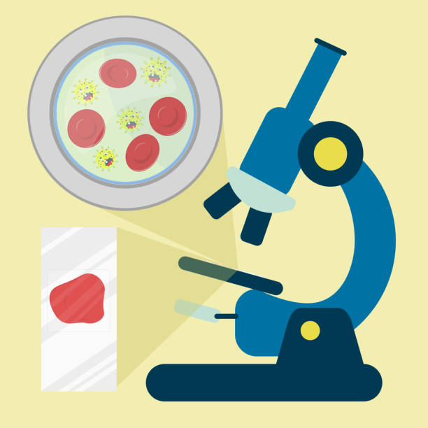 만화 세균을 가진 현미경의 밑에 혈액 샘플 - microscope slide stock illustrations