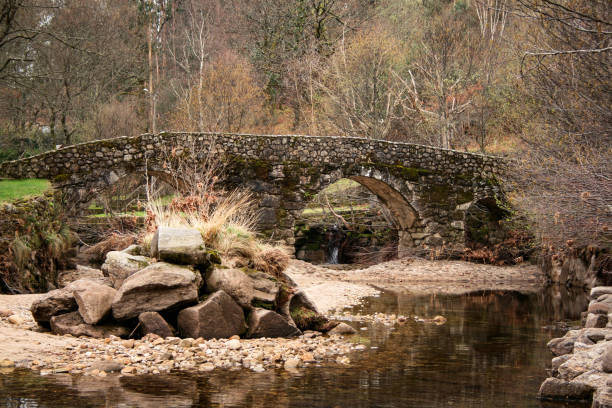 medieval stone bridge over river and trees in the background - 2333 imagens e fotografias de stock