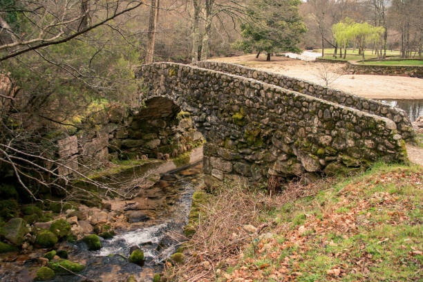 istock Medieval stone bridge over river and trees in the background 1172963702