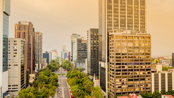 istock Aerial view of Mexico City 1172965310