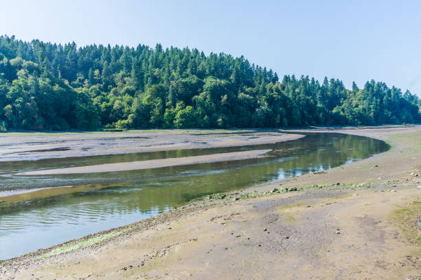 istock Nisqually Wetlands River 1172966464