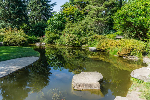istock Rushing Garden Pond 1172966483