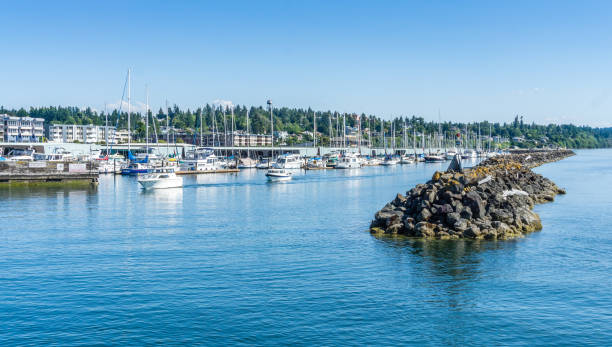 istock Sea Wall And Marina 1172966509