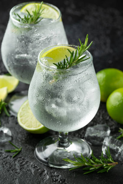 istock Gin and Tonic Alcohol drink with Lime, Rosemary and ice on rustic black table 1172969799