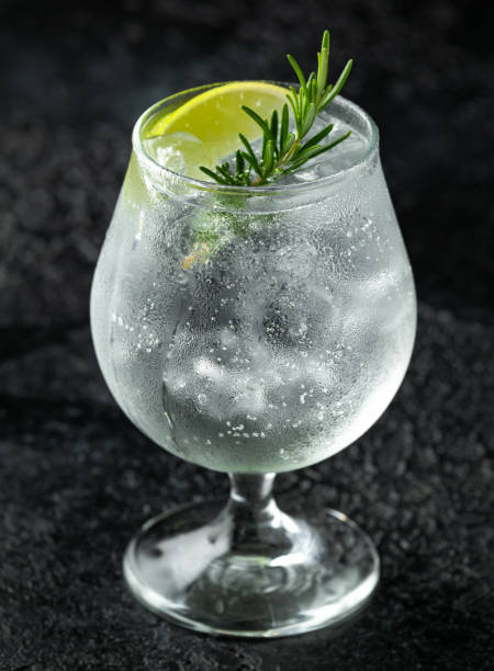 istock Gin and Tonic Alcohol drink with Lime, Rosemary and ice on rustic black table 1172969814