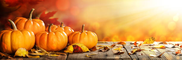 bannière des citrouilles et des feuilles de thanksgiving sur la table en bois rustique - color image thanksgiving photography harvest festival photos et images de collection