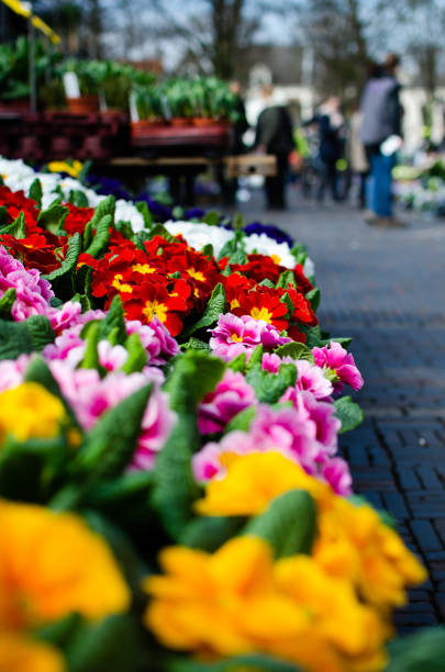 istock Flower market background with copy space 1172969996