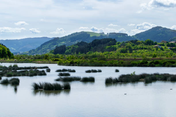 istock Urdaibai Biosphere Reserve 1172972328