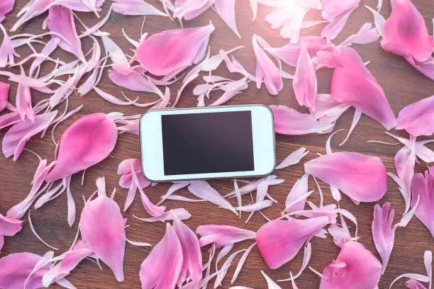 Photo of White mobile phone on a floral abstract petals background