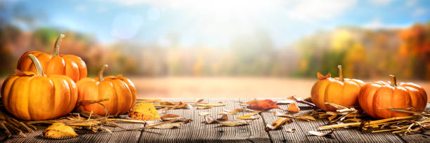 citrouilles et feuilles sur la table en bois rustique - color image thanksgiving photography harvest festival photos et images de collection