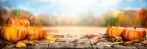 Pumpkins And Leaves On Rustic Wooden Table stock photo