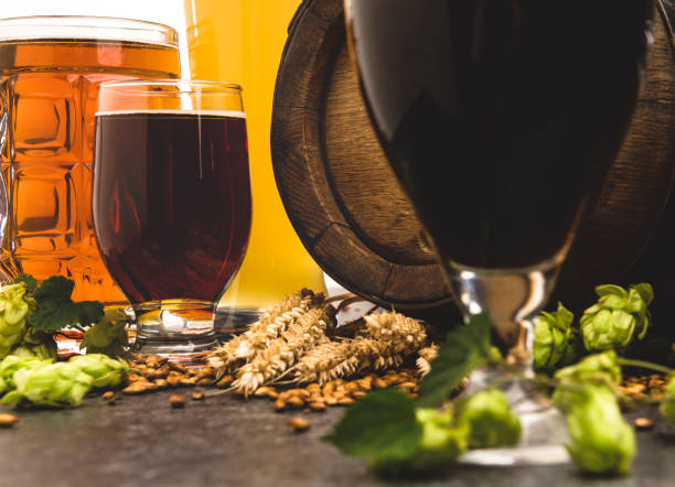 istock Glasses of beer with green hops and wheat 1172977690