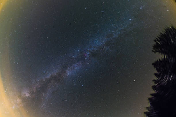 milky way - forest black forest sky night imagens e fotografias de stock