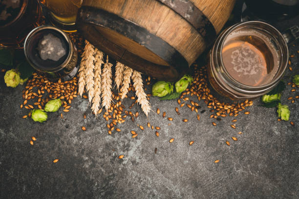 istock Glasses of beer with green hops and wheat 1172978207