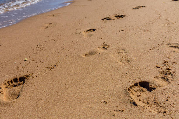 istock Human footprints on the sandy beach. Summer vacation concept 1172985588