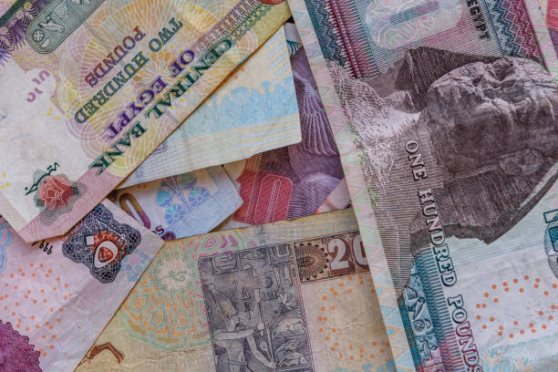 istock Heap of the different egyptian banknotes for background 1172985647