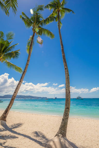 istock Philippines, Boracay, White beach. 1172988380
