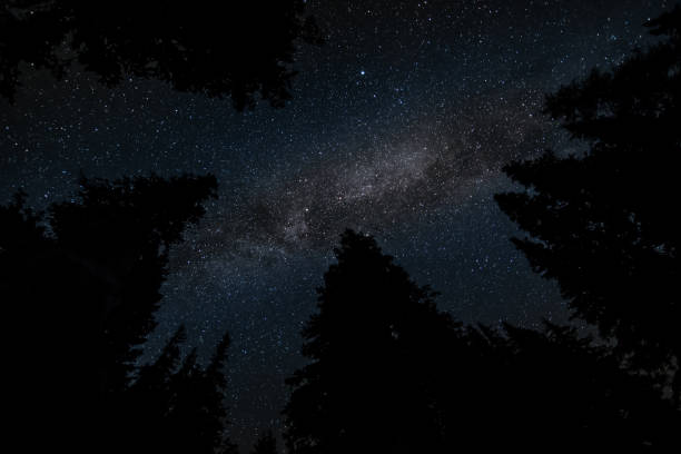 istock milky way in the Alps 1172988572