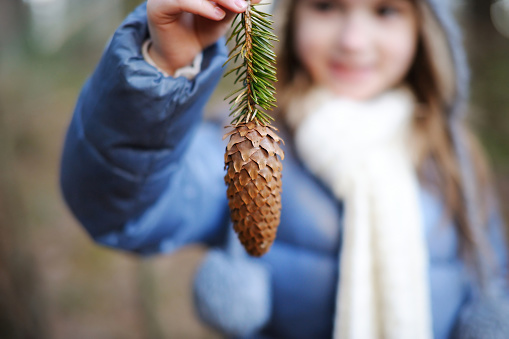 Adorable little girl holding a pine cone while hiking in a forest