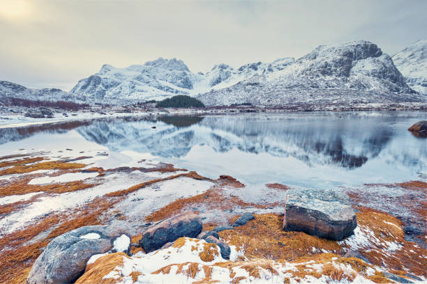 istock Fjord in winter, Norway 1172992528