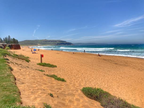 istock Dee Why Beach of Sydney Australia 1172995117