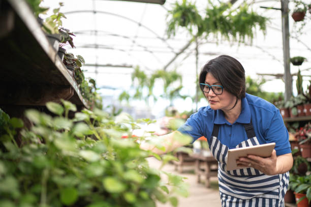 portrait of florist using tablet at small business flower - garden center flower women plant imagens e fotografias de stock