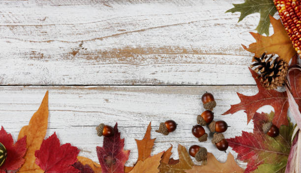 istock Right and bottom side borders of autumn decorations on white rustic wooden boards 1172997855