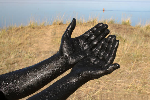 Therapeutic mud / Hands covered with therapeutic mud. Salt lake in the Altai region.