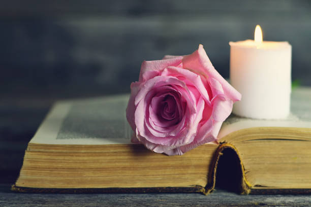 istock Burning white candle and pink rose on open book 1173005119