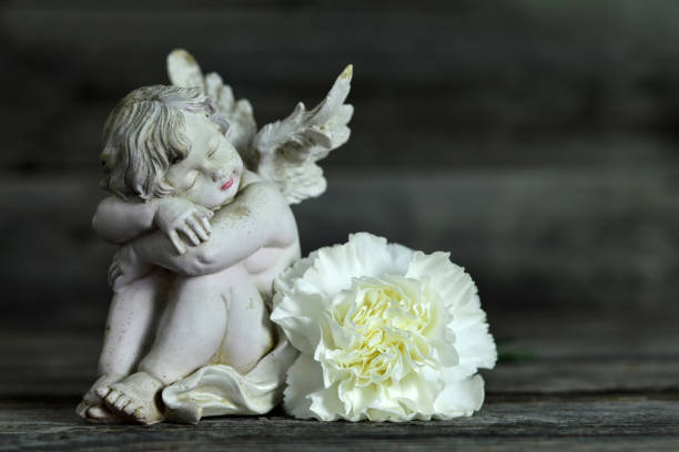 istock Angel and white carnation flower on wooden background 1173005268