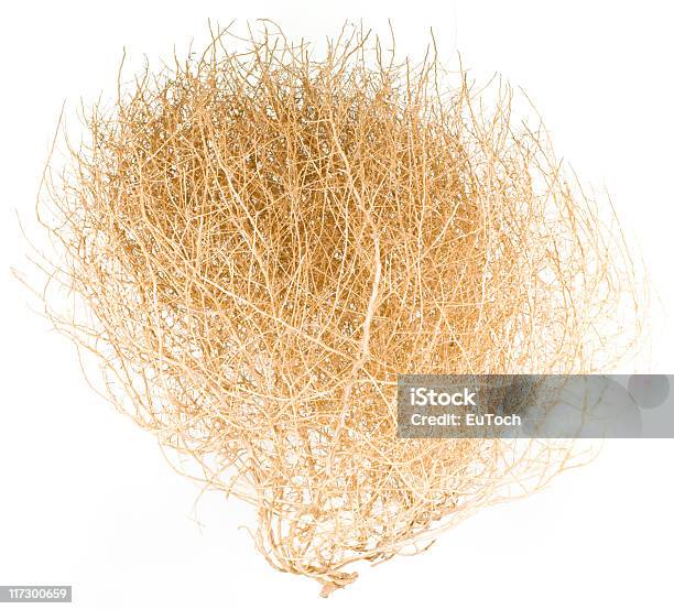 Tumbleweed - Fotografie stock e altre immagini di Erba mobile - Erba mobile, Erba, Secco