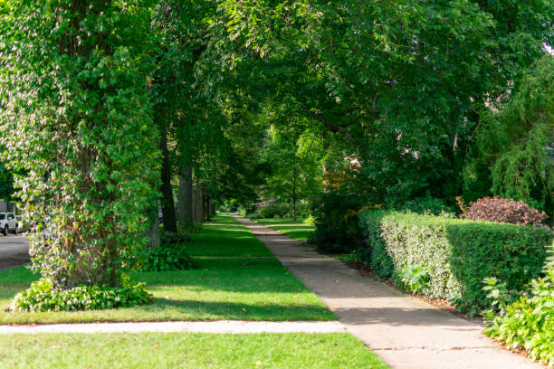 istock Residential Shaded Sidewalk with Green Trees in Evanston Illinois 1173010675